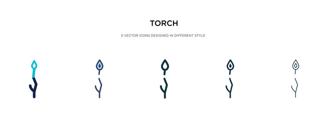 Torch icon in different style two colored vector