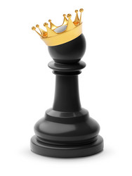 Pawn with king crown vector