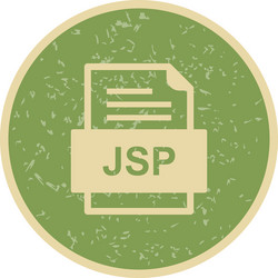 jsp file document icon vector image