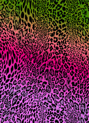 Seamless leopard pattern design animal pink and b Vector Image