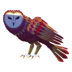 Barn Owl Wild Kratts Wiki Fandom | atelier-yuwa.ciao.jp