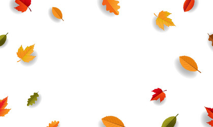 white poster with autumn leaves vector