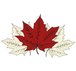 Cartoon red maple leaf Royalty Free Vector Image