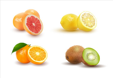 Citrus fruit set Royalty Free Vector Image - VectorStock