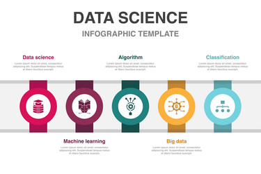 Data Science Algorithm Infographic vector image