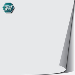 page curl with shadow on a blank sheet paper vector image