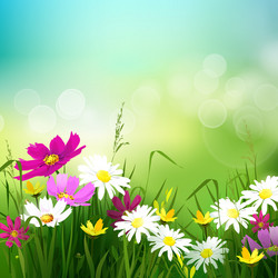 Spring summer background Royalty Free Vector Image