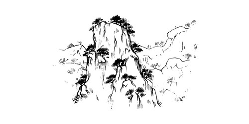 Wild field daisies hand drawn sketch in doodle Vector Image