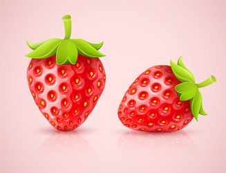 Red berry strawberry and a half Royalty Free Vector Image