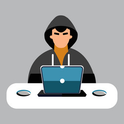 computer hacker with laptop icon vector image