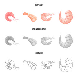 isolated object of appetizer and ocean icon vector image