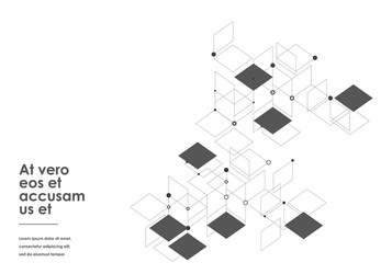 connection with dots lines gray squares vector image