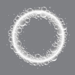 soap bubbles displaying unique designs vector image