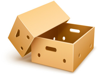 Empty Cardboard Box Vector Image