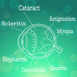 human eye diseases vector