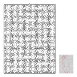 difficult rectangular maze vector image