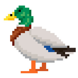 pixel art drake waterfowl duck game asset animal vector