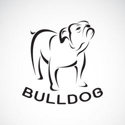 Elegant Bulldog Portrait Vector Image