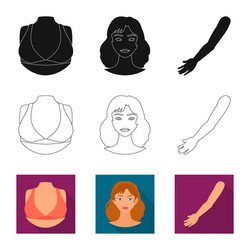 isolated object body and part sign collection vector image