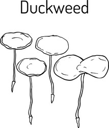 Minor Vector Images (over 7,400)