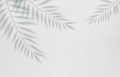 empty studio abstract background vector image