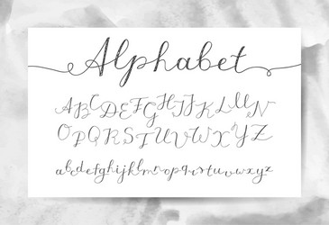 handwritten lettering alphabet vector