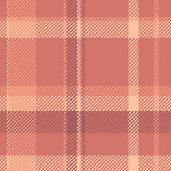tidy background tartan glamour fabric pattern vector image