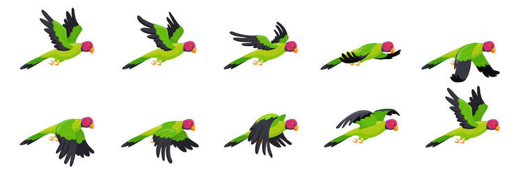Flying Bird Sequence Vector Images (over 110) Flying Bird Sequence Vector Images (over 110)