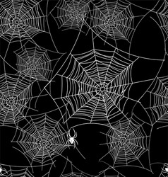 Spooky Spiderweb Background vector image