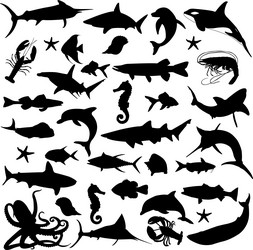 Sea Animal Silhouettes Collection Vector Image