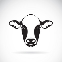 Cow Face Logo - Farm Animal Vector Image