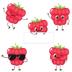 Cute Red Raspberry Character Set vector image