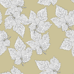 Elegant Grape Leaf Pattern vector image