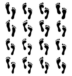 Footprints - Black Print Collection Vector Image