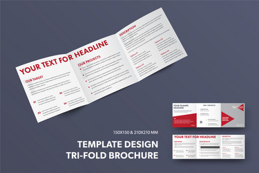 Square booklet template front and back view Vector Image