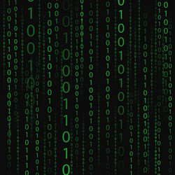 Binary Code Digital Matrix vector image
