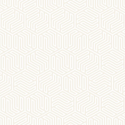Subtle Hexagonal Pattern vector image
