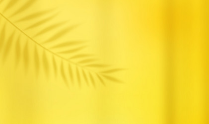 empty studio abstract background vector image