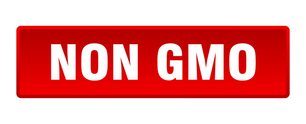 non gmo button square red push vector image