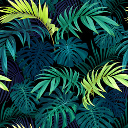 Tropical Monstera Leaf Pattern Vector Image