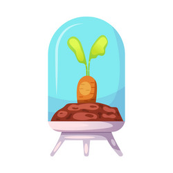 isolated object of mars and space icon set vector image