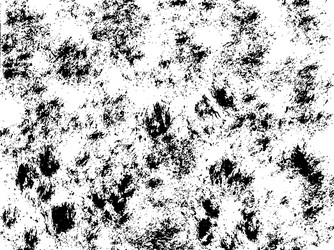 scratch grunge rusty background for create object vector image