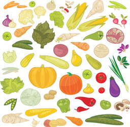 Vegetables Royalty Free Vector Image - VectorStock