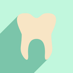 flat with shadow icon and mobile application vector image