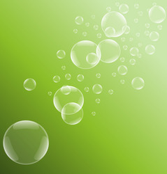 Soap Bubbles on Green Background vector image