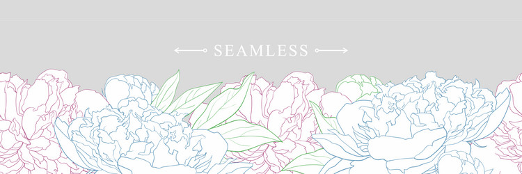 Elegant White Peonies with Colorful Border Vector Image