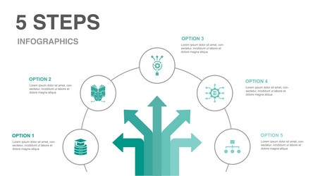 Data Science Algorithm Infographic vector image