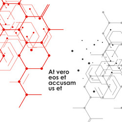 Geometric Hexagon Network vector image