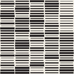 Irregular Black and White Dash Pattern vector image