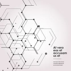 modern connect molecular structure with hexagon vector image